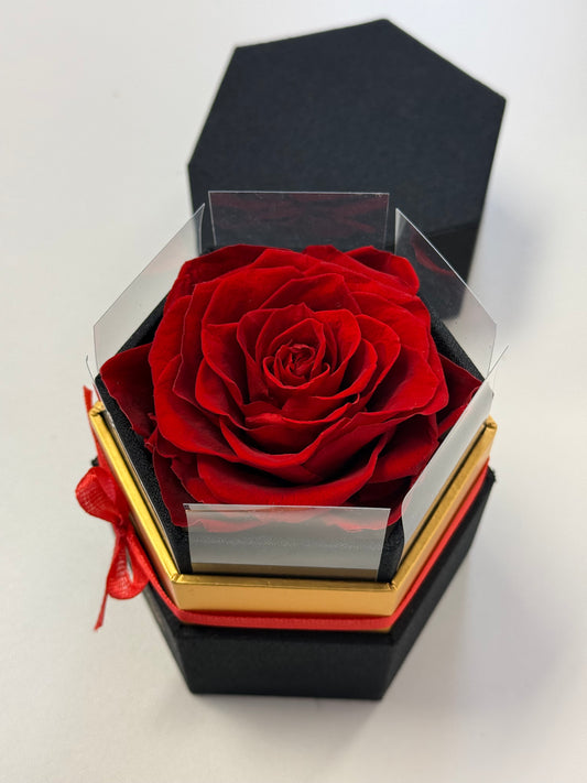 Preserved Single Rose
