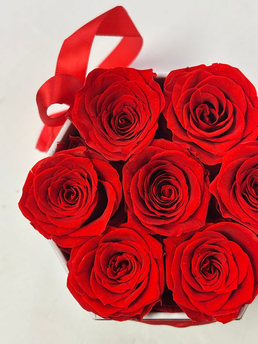 7 Preserved Red Roses