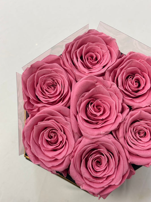 7 Real Preserved Pink Rose
