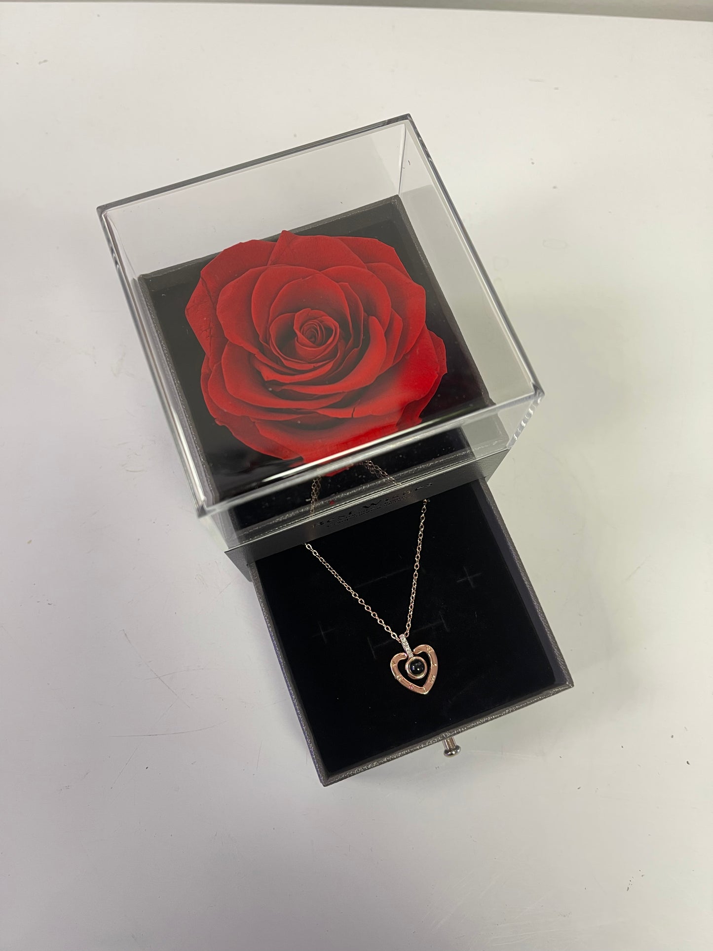 Preserved Single Rose & Necklace