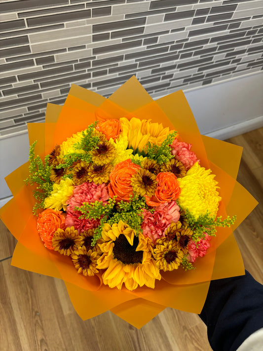 Sunflower Designer's Choice