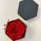 Preserved Single Rose