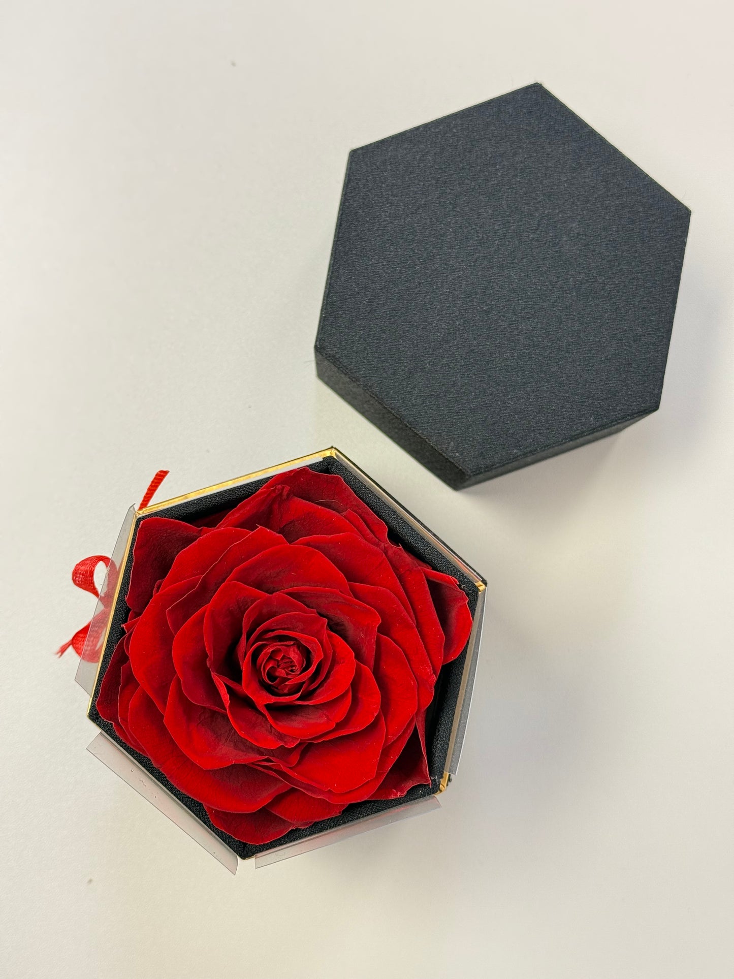 Preserved Single Rose