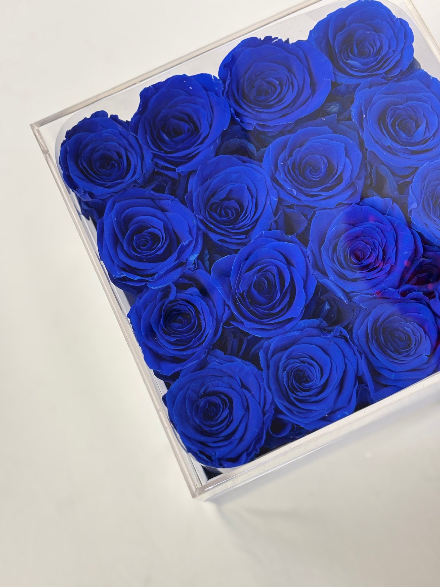 16 Preserved Roses Box