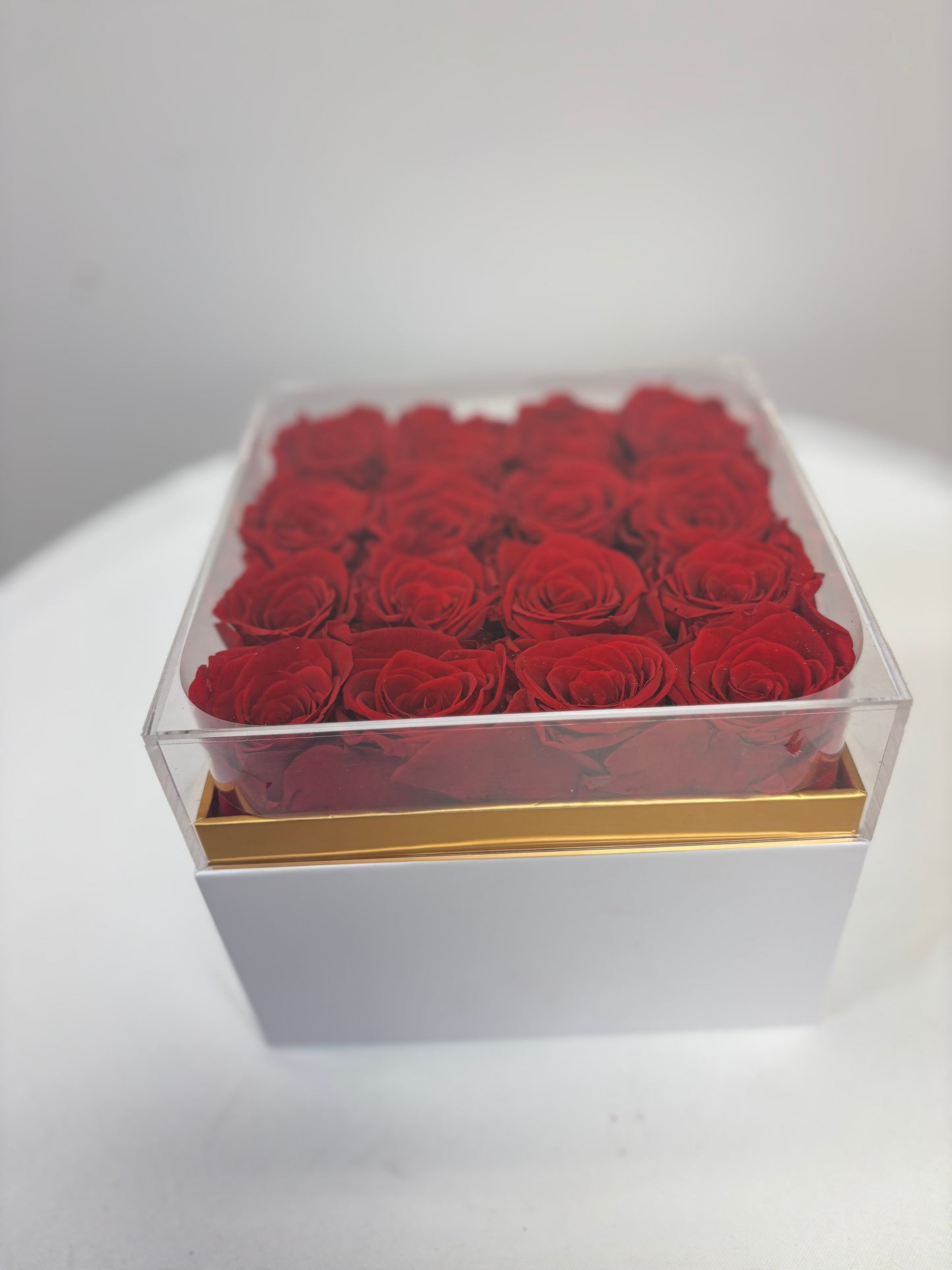 16 Preserved Red Roses Box