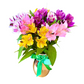 Rainbow Alstroemeria Vase Bouquet