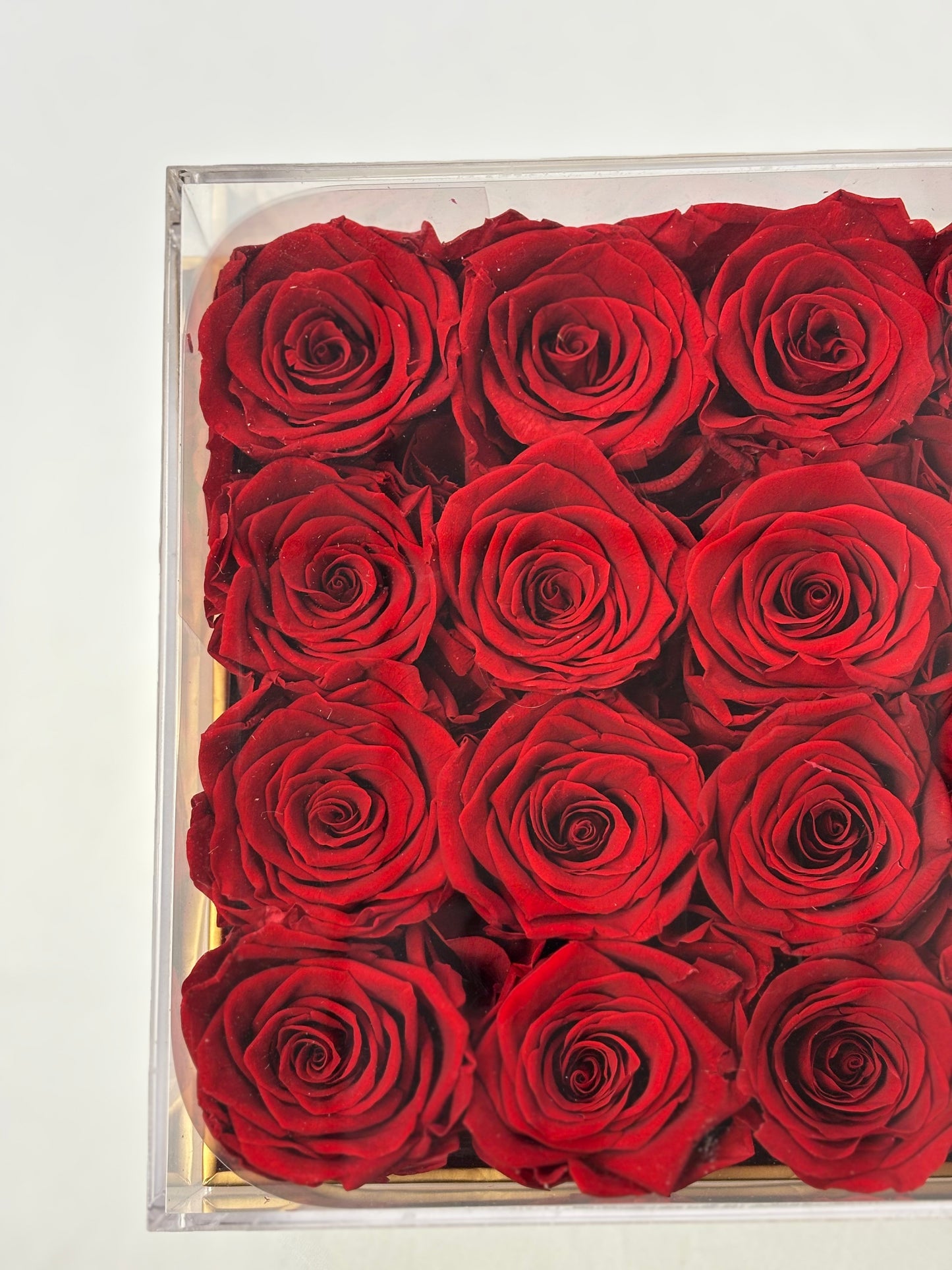 16 Preserved Red Roses Box