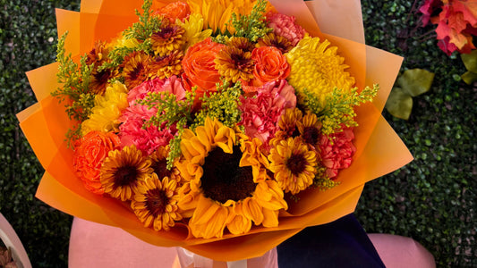 Sunflower Designer's Choice