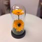 Sunflower Lamp Gift