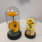 Sunflower Lamp Gift
