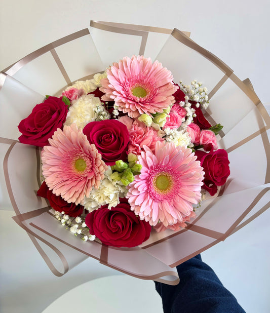 Gerbera Glow