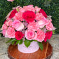 Pink Lady
