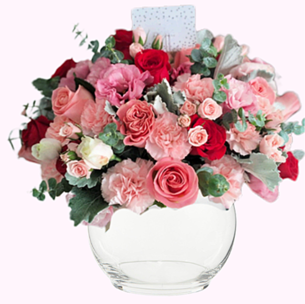 Blush & Bloom