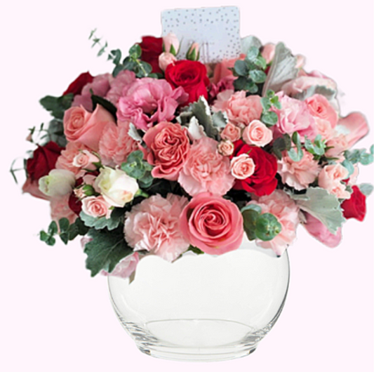 Blush & Bloom