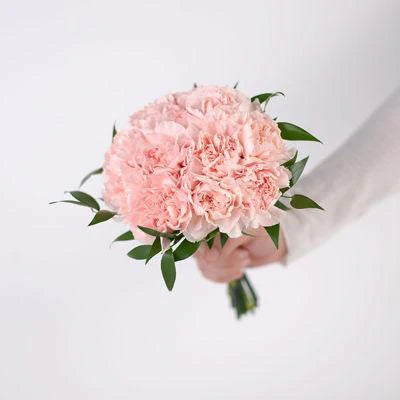 Carnations Bouquet