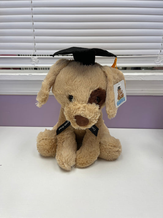 Brown Graduation Puppy